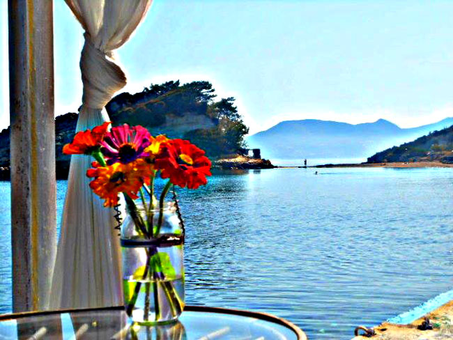 Aelio bistro cafe Κοκκάρι Σάμος